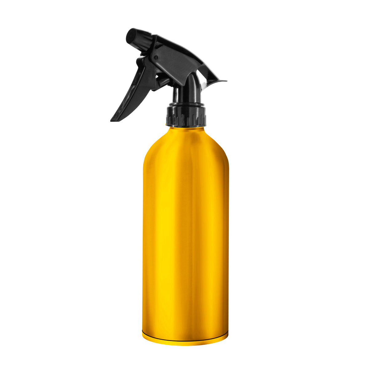 Vaporisateur de coiffure en aluminium 200 ml