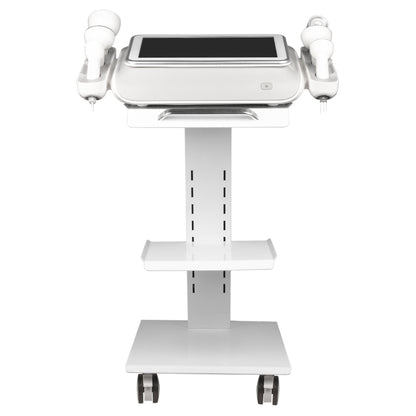 Le Syst Me Minceur Corporel Elegante Platinum T6