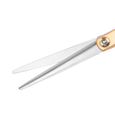Snippex ciseaux de coiffure 6.0 dorés